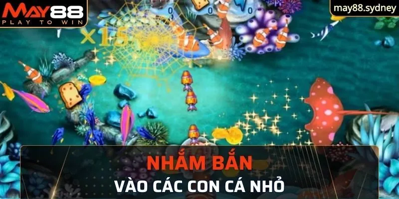 Nhắm bắn vào các con cá nhỏ dễ săn tiền thưởng