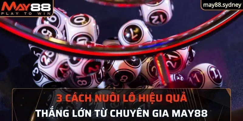 những cách nuôi lô cơ bản