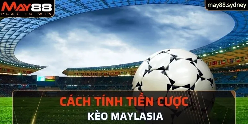 Cách tính tiền cược trong kèo Maylasia