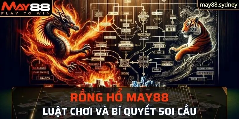 cách soi cầu Rồng Hổ May88 ở trên đã được tổng hợp