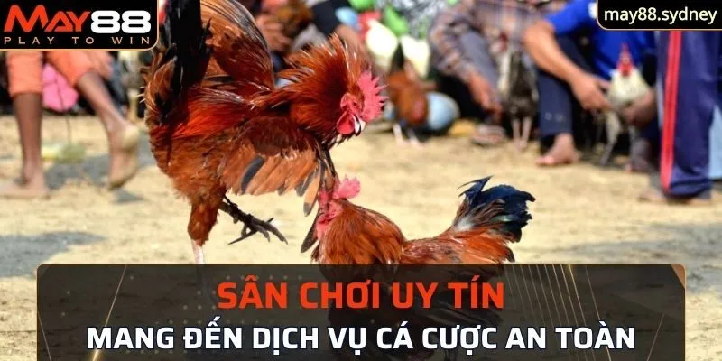 Sân chơi uy tín mang đến dịch vụ cá cược an toàn