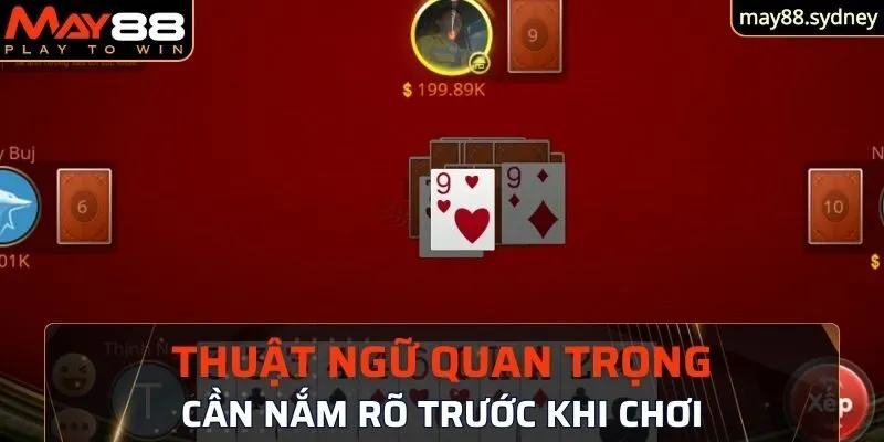 Thuật ngữ sử dụng phổ biến trong trò chơi